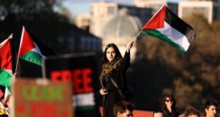 Solidaritas untuk Palestina, massa mengoreksi duduk dalam kota-kota Belanda