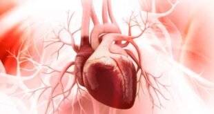 Berapa Banyak Jumlah Ring Jantung yang tersebut Boleh Dipasang di area di Tubuh?