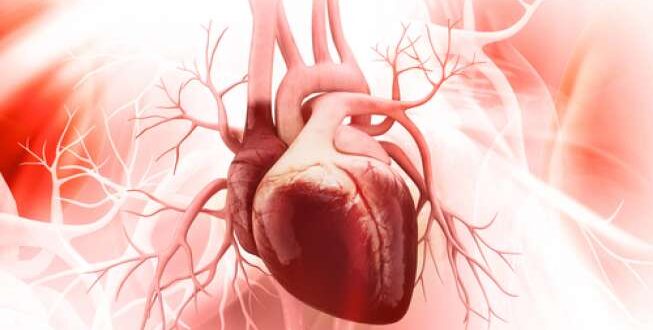 Berapa Banyak Jumlah Ring Jantung yang tersebut Boleh Dipasang di area di Tubuh?