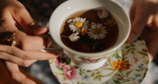 Hal ini cara menyeduh teh celup agar masih bermanfaat bagi tubuh