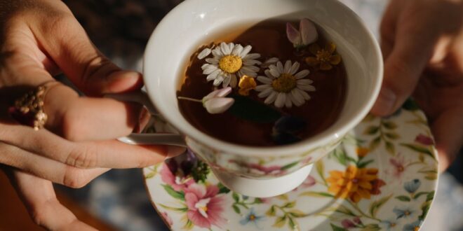 Ini adalah adalah cara menyeduh teh celup agar masih bermanfaat bagi tubuh