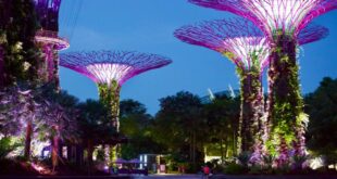 Mengintip Christmas Wonderland Garden By The Bay Singapura Ada Apa Saja?