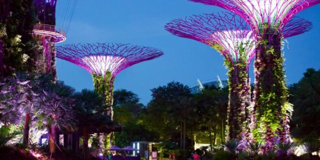Mengintip Christmas Wonderland Garden By The Bay Singapura Ada Apa Saja?