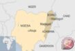 Presiden Nigeria perintahkan investigasi serangan drone oleh militer