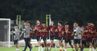 Jelang Vietnam vs Indonesia: 5 Pemain Skuad Garuda Demam, 3 Naturalisasi?